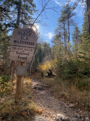 black elk wilderness trail